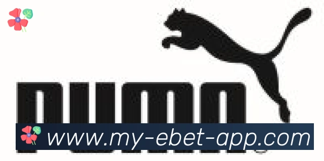 EBET易博体育合作伙伴